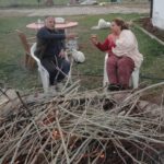 Cane-Can-2